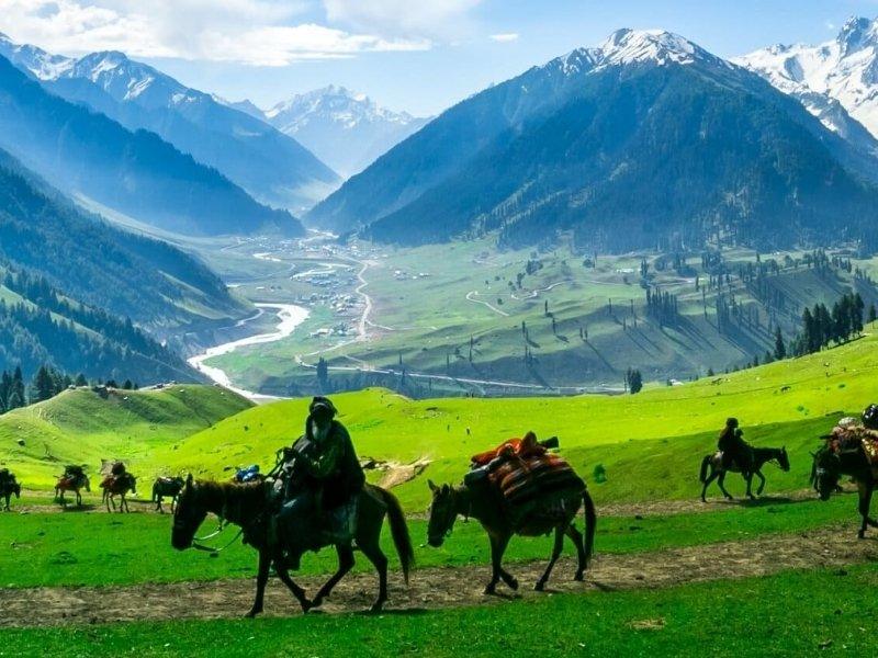 Local Transportation Options in Kashmir