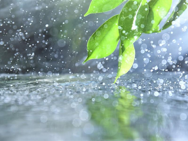 Monsoon Season (June to September)