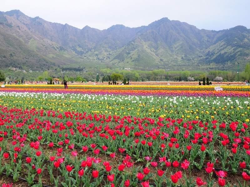 Things to Do in Kashmir